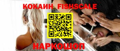 гидра Будённовск
