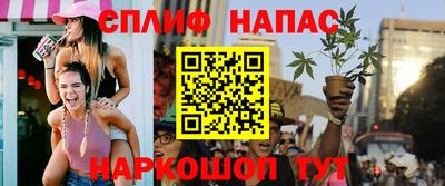 гидра Будённовск