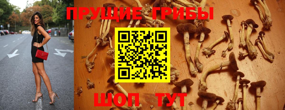 Псилоцибиновые грибы GOLDEN TEACHER  Вход с VPN  Рязань 