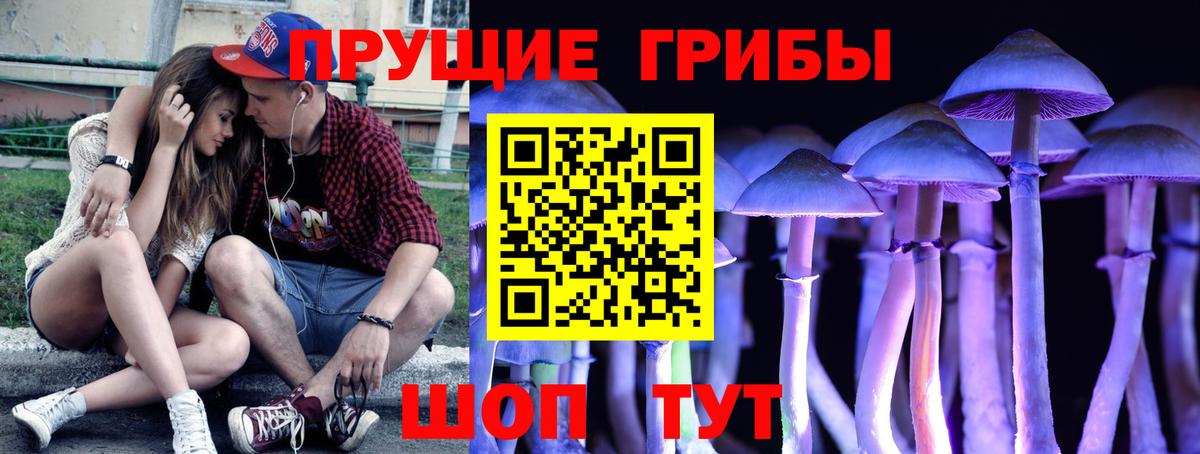 Псилоцибиновые грибы мицелий Рязань